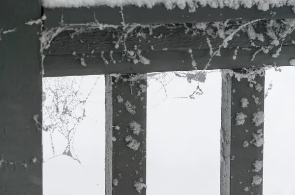 Spinnennetze Auf Einer Veranda Geländer Flauschigem Schnee Während Eines Schneesturms — Stockfoto