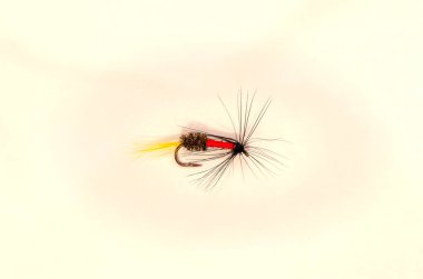 Single Royal Coachman trout fly on solid white background clipart