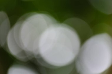 Bulanık yeşil bir arkaplanda odaklanmamış merceğin sessiz ve soyut arka planı parlar