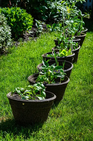 Nerede çekildiği, günün saati, teknik, görünüm, açı, tasvir edilen kavramlar veya diğer özel konular.