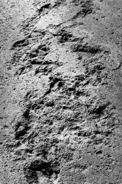 Siyah ve beyaz kenarlar, dağlara benzeyen beton çukurları aydınlatıyor.