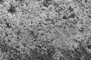 Çukur beton üzerinde tuz kristallerinin siyah ve beyaz yakın çekimi