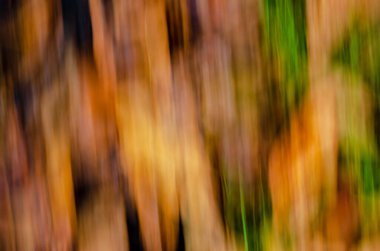 Karışık sonbahar renklerinin bulanık hareket arkaplanı