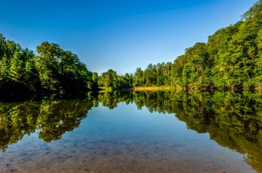 Ağaçlarla kaplı bir göletin simetrik görüntüsü ve yansıması.