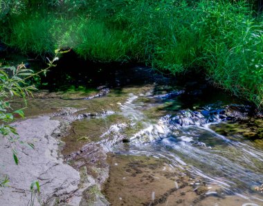 Kayaların üzerinden ve çalıların altından akan sığ bir akarsuyun yakın çekim görüntüsü.