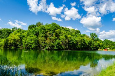 Parlak bir yaz gününde bulutlu mavi gökyüzü ile birlikte bir kaz ailesi yüzerken, sakin suya yansıyan kırsal yüzme havuzu ağaçları..
