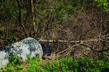 Metal su kanalları ormanlık alana akıyor. Çevrede taze bahar büyümesi var.