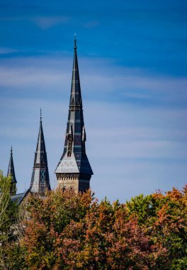 Sonbaharda katedralin manzarası