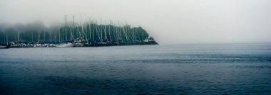 Yelkenli Panorama St. Lawrence Nehri 'ndeki ağaçlı bir marinaya yanaştı.