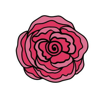 Rose flower, doodle hand drawn elements for design