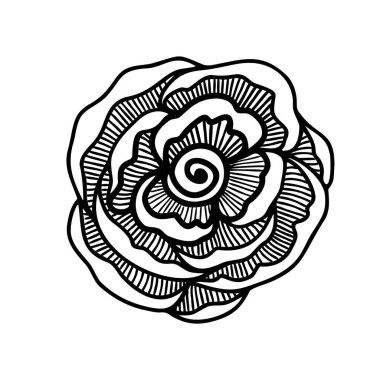 Rose flower, doodle hand drawn elements for design