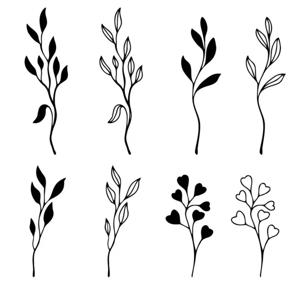 Rose flower, doodle hand drawn elements for design