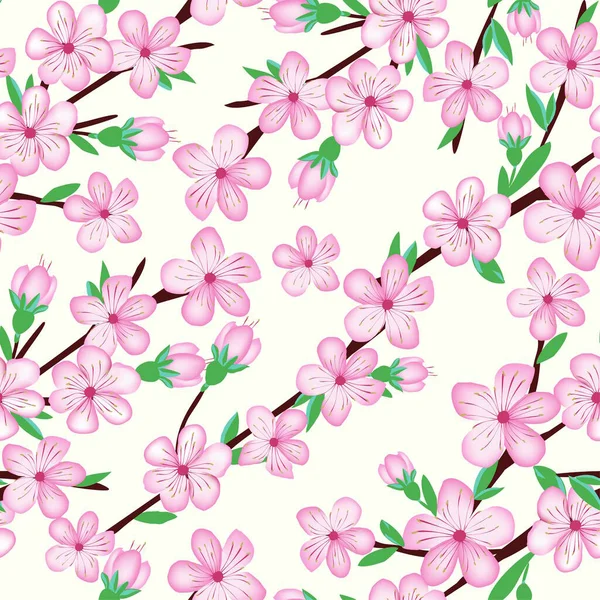 Sakura Kirschblütenblume Für Sufface Design — Stockvektor