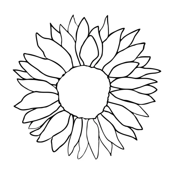 表面装飾のためのかわいいひまわりの装飾 手描きの花ベクトル要素 — ストックベクタ