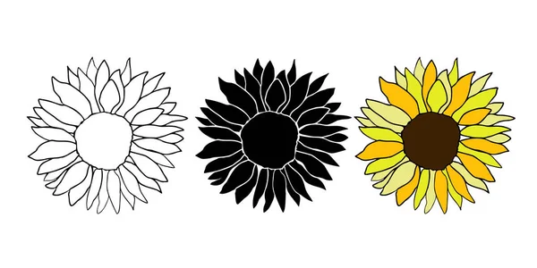Linda Decoración Girasol Para Decoración Superficie Elementos Vectoriales Florales Dibujados — Vector de stock