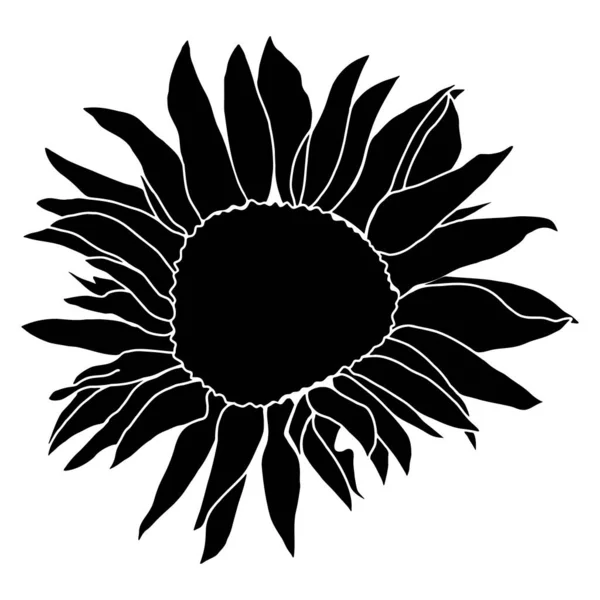 Schattig Zonnebloemdecor Voor Surfase Decoratie Handgetekende Bloemenvector Elementen — Stockvector