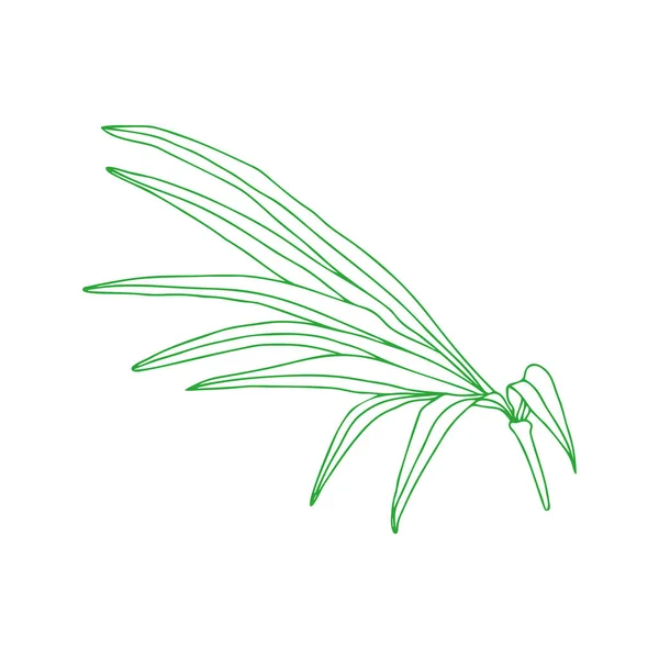 Illustration Vectorielle Feuilles Tropicales Feuilles Plantes Palmiers Paradis Tropical Éléments — Photo