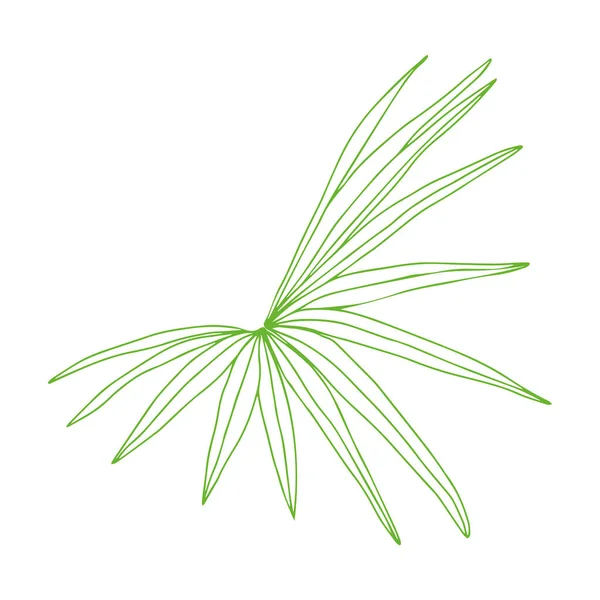 Тропические Листья Векторная Иллюстрация Лист Растений Пальм Тропический Рай Экзотические — стоковое фото