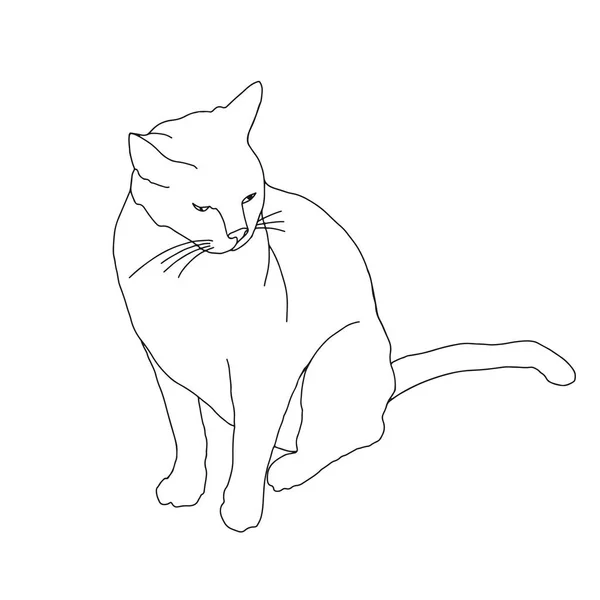 Line Art Cute Cat White Background — Stock Vector