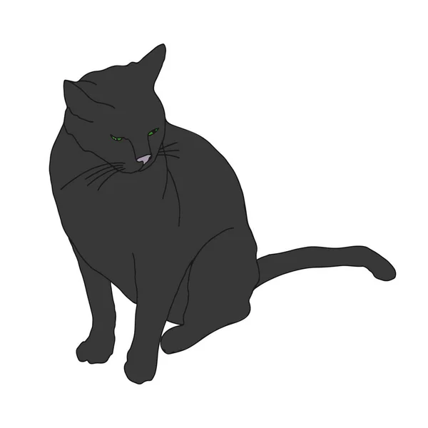 Černá Kočka Bílém Pozadí — Stockový vektor