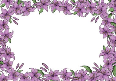 Beyaz arka plan vektörü üzerinde Lilly Çiçeği. Zarif sanat zambağı, çiçekler ve yapraklar el çizimi. Düğün için sevimli çiçek çerçevesi tasarımı, davetiye