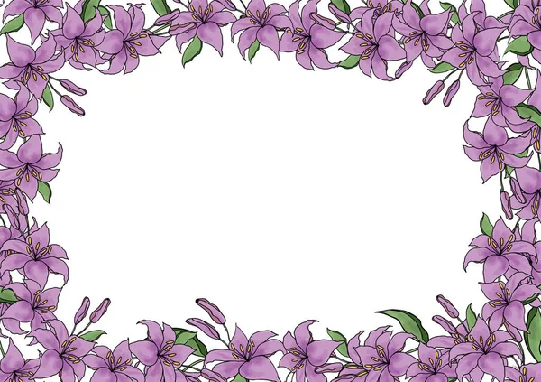 Beyaz Arka Plan Vektörü Üzerinde Lilly Çiçeği Zarif Sanat Zambağı — Stok Vektör