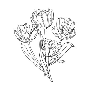 Bahar çizgisi sanat çiçeği, beyaz arkaplanda izole edilmiş boyama kitapları için Paskalya tasarımı.