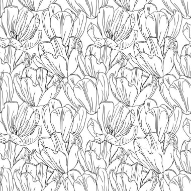 Laleler kusursuz desen, bahar arkaplanı.