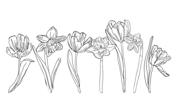 Весняна Лінія Квітка Мистецтва Ізольована Білому Тлі Великодній Дизайн Розмальовок — стоковий вектор