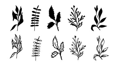 Tasarım için yeşillik el drwan elementleri