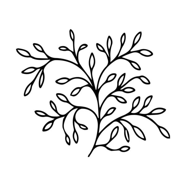 Цветочные Простые Листья Дизайн Ручная Линия Свадебной Травы Листья Приглашения — стоковый вектор