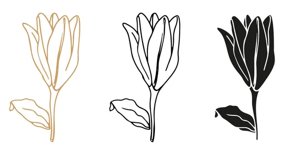 Lilly Blomma Handritade Set För Design Logotyp Eller Tatuering — Stock vektor