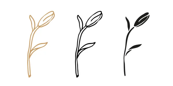 Lilly Flower Hand Drawn Set Design Logo Tattoo — Stock Vector