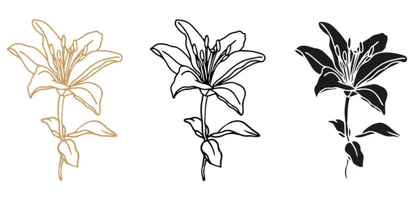 ロゴやタトゥーのデザインのために描かれたユリの花の手セット — ストックベクタ