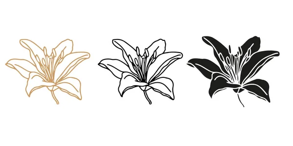Lilly Blomma Handritade Set För Design Logotyp Eller Tatuering — Stock vektor