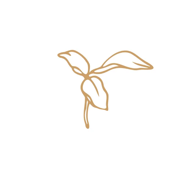 Lily Fleur Dessin Main Élément Vecteur Floral Isoler Sur Fond — Image vectorielle