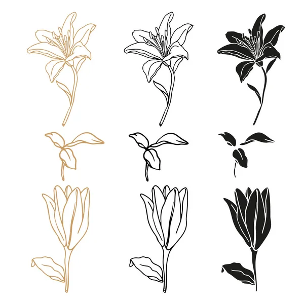 Набор Цветов Лилии Оформления Логотипа Татуировки — стоковый вектор