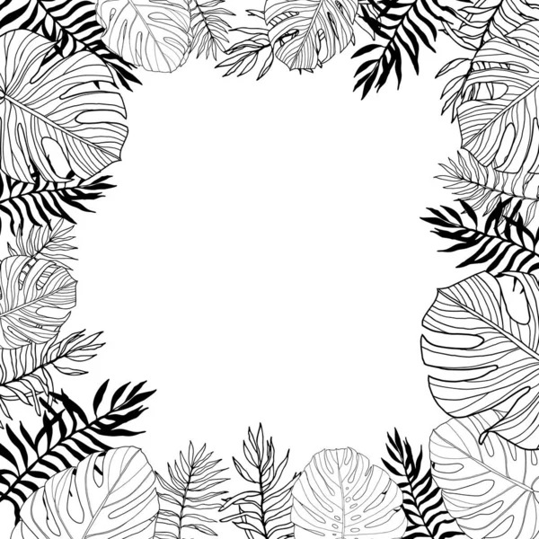 Négyzet Alakú Keret Trópusi Dzsungel Levelek Kézzel Rajzolt Fekete Fehér — Stock Vector