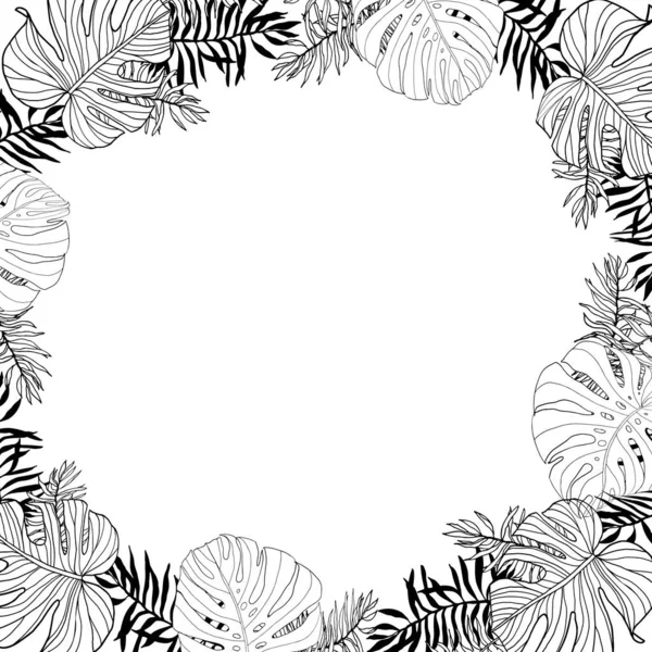 Quadratischer Rahmen Mit Tropischen Dschungelblättern Handgezeichnet Schwarz Weiß — Stockvektor