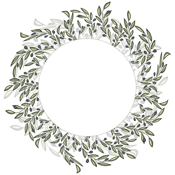 Kranzrahmen Aus Olivenzweigen Und Beeren Skizze Von Olivenzweig Auf Weißem — Stockvektor