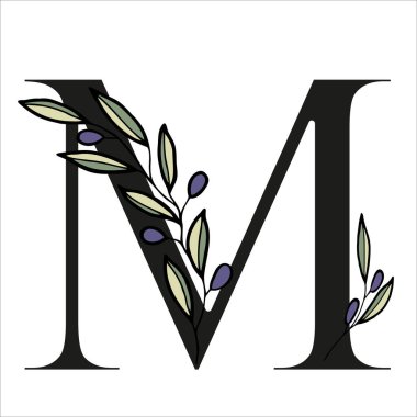 Kart dekorasyonu ya da düğün davetiyesi için zeytin dalı alfabesi. Tür tasarımı için vektör el çizimi illüstrasyonu