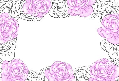 Beyaz arka plan vektöründe lüks güller. Zarif bir sanat eseri duvar kağıdı güller baş başa çizilmiş. Düğün, davetiye ya da kart için sevimli pembe çiçek çerçevesi tasarımı