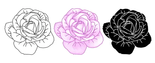 Ručně Kreslené Růže Hlava Set Růžové Barvě Silueta Line Art — Stockový vektor