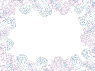 Tropik kral protea ve orkide çiçek çerçeveli yatılı, el çizimi çiçek kafası pastel mavi ve pembe renkte. Kart veya davet için vektör arkaplanı