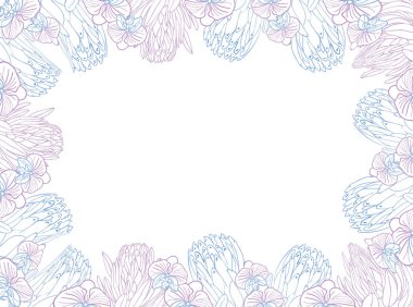 Tropik kral protea ve orkide çiçek çerçeveli yatılı, el çizimi çiçek kafası pastel mavi ve pembe renkte. Kart veya davet için vektör arkaplanı