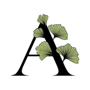 Ginkgo biloba A alfabesini terk eder. Rozet ve simge modaya uygun çizgisel çizim tarzında. Vector Logo Amblem mektubu ve ginkgo dalı. Kozmetik, ilaç ve organik gıdalar için resim