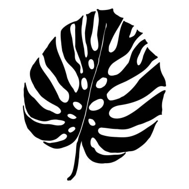 Canavar tropikal yapraklar, yeşillik tasarımı canavar yaprakları, orman bitkisi. Logo ya da kart için canavar yaprağı silueti, albüm tasarımı. Vektör çizimi, beyaz arkaplanda izole et