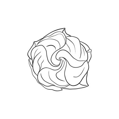 Tropik amber çiçeği. Çin gülü çiçeği. Logo, kart ya da davetiye için el yapımı vektör çizgisi çizimi, çay bitkisi çayı. Beyaz arkaplanda izole