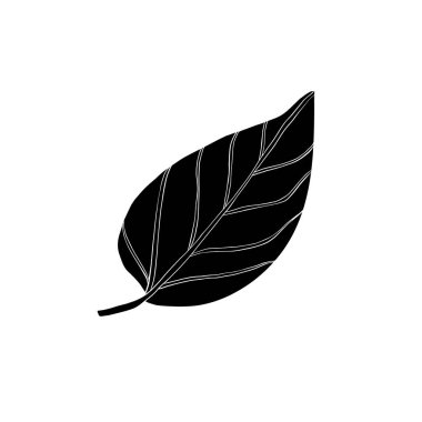 Siluet, doğal, eko, vegan ve biyolojik etiketler için tasarımın izole edilmiş arkaplan elementlerinde simge bırakır. Mürekkep el çizimi illüstrasyon, beyaz arkaplanda izole edilmiş botanik vektör