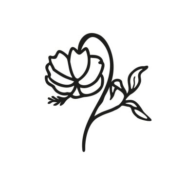 Yaprakları basit olan bahar çiçeği. Çiçek çizgisi sanat vektör illüstrasyonu. Çiçek grafik logosu, kart veya davetiye dekoru için el çizimi simgesi, beyaz arkaplanda izole edilmiş.